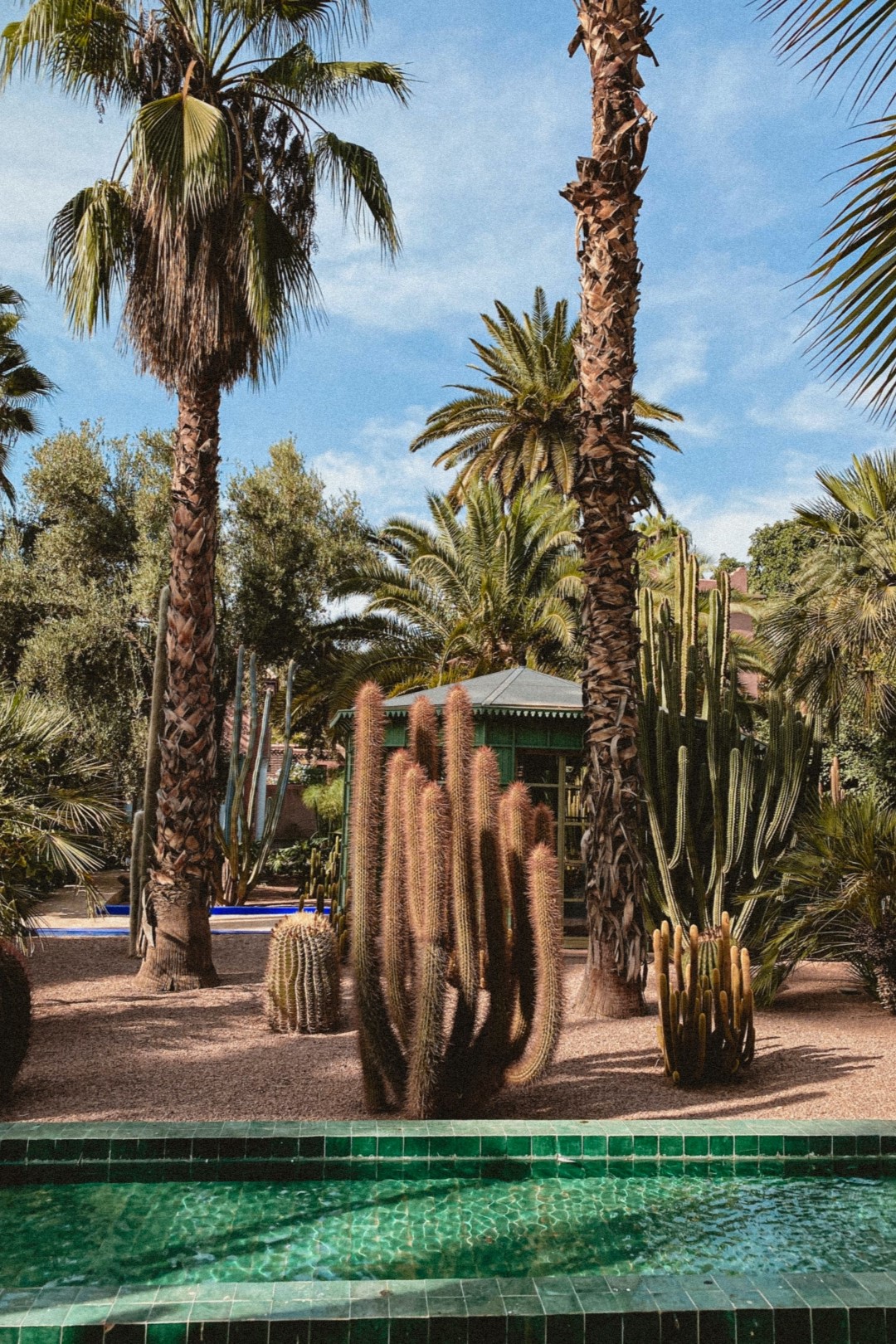 Jardin Majorelle things to do in Marrakech